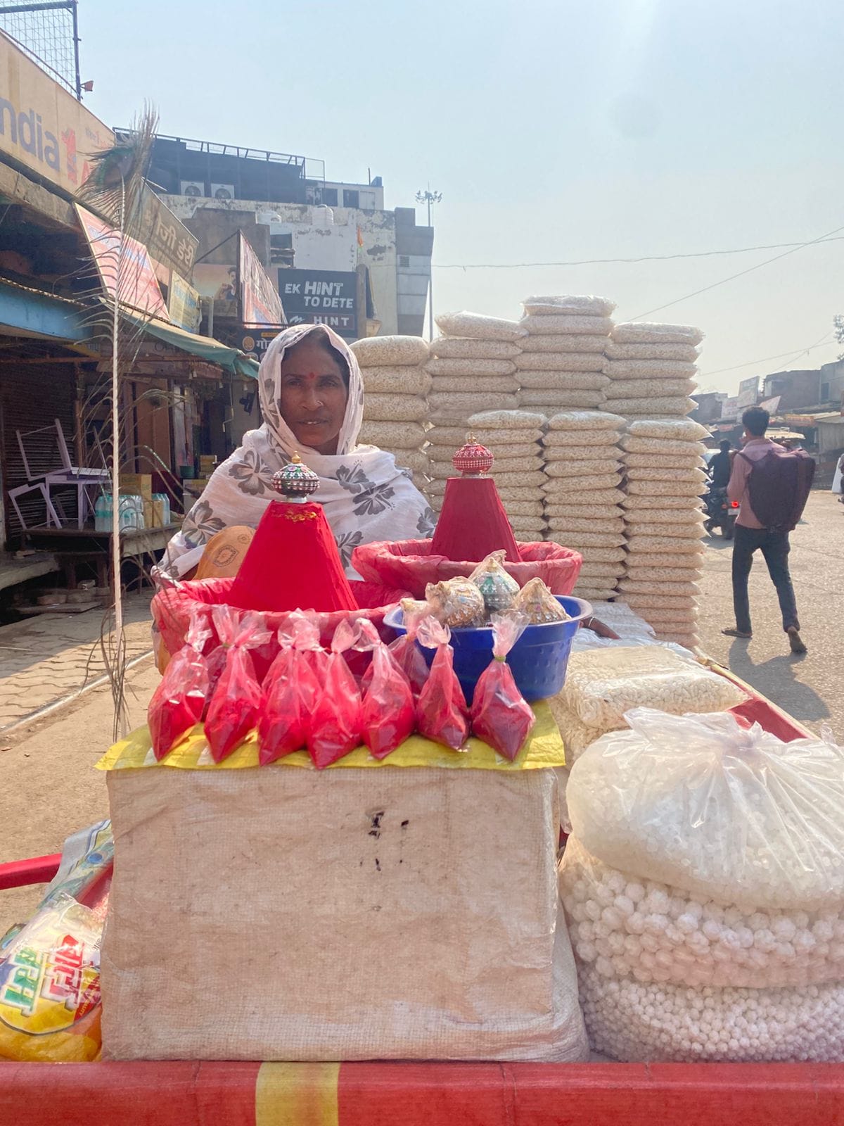 Whispers of Govardhan: The Architecture of Love and Service