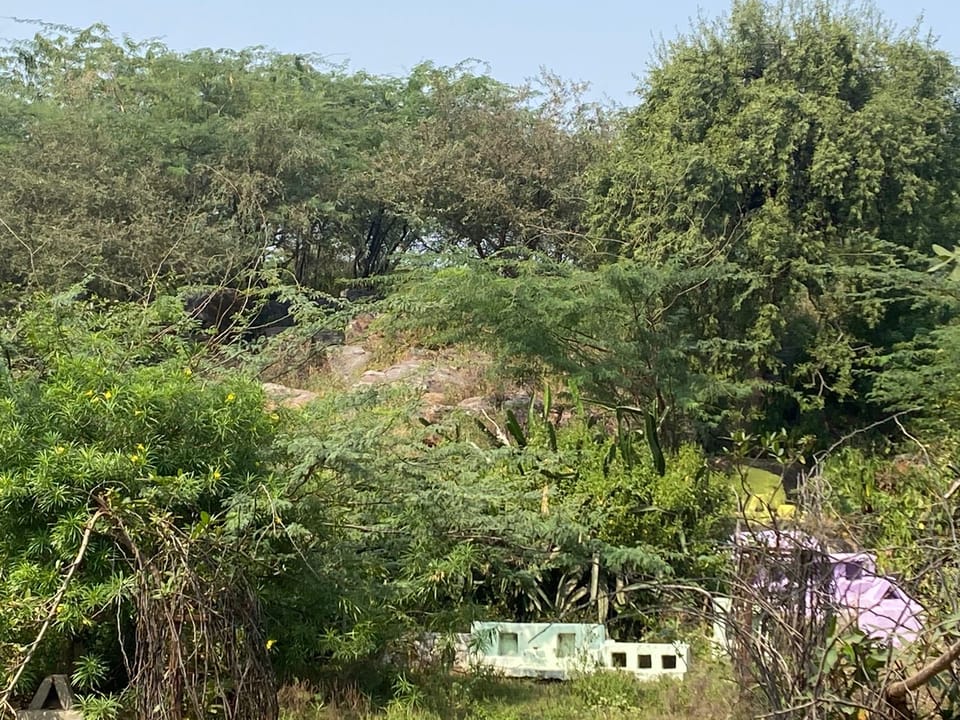 Whispers of Govardhan: The Architecture of Love and Service